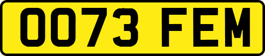 OO73FEM