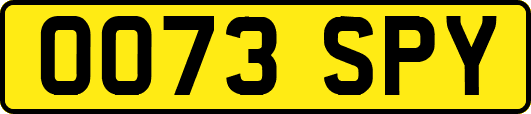 OO73SPY
