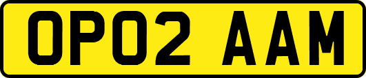OP02AAM