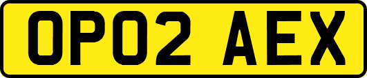 OP02AEX