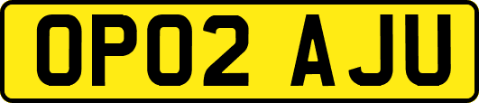 OP02AJU