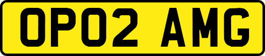 OP02AMG
