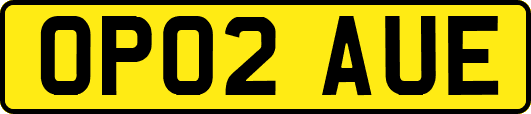 OP02AUE