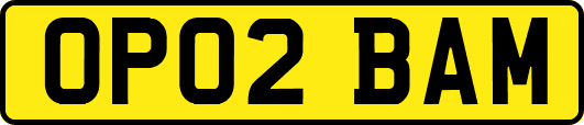 OP02BAM