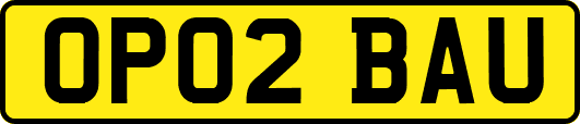 OP02BAU
