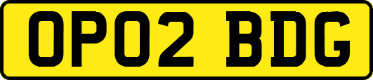 OP02BDG