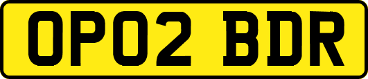 OP02BDR