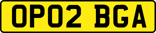 OP02BGA