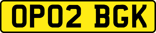 OP02BGK