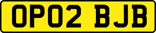 OP02BJB