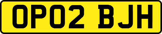 OP02BJH