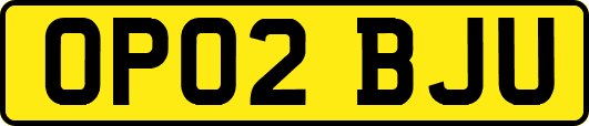 OP02BJU