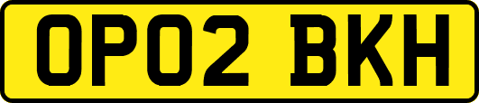 OP02BKH