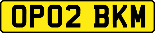 OP02BKM