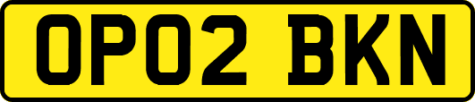 OP02BKN