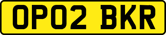 OP02BKR