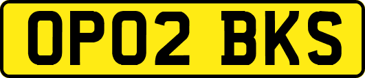 OP02BKS