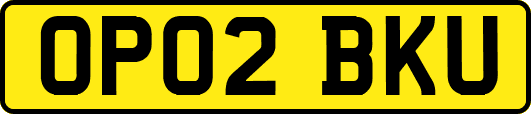 OP02BKU