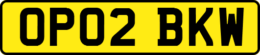 OP02BKW