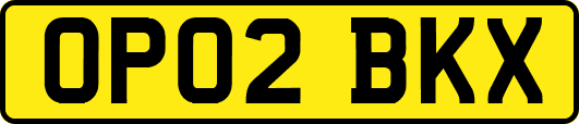 OP02BKX