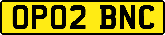 OP02BNC