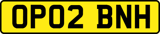 OP02BNH