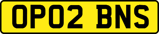 OP02BNS