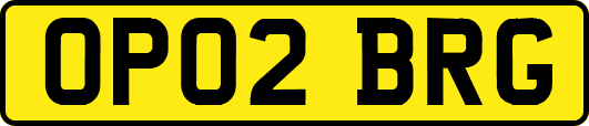 OP02BRG