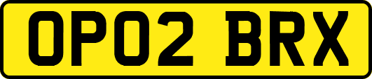 OP02BRX