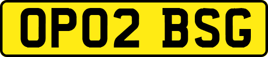 OP02BSG