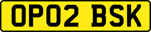 OP02BSK
