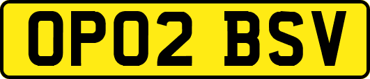 OP02BSV