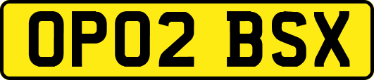 OP02BSX