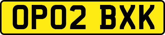 OP02BXK