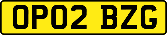 OP02BZG