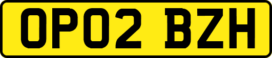 OP02BZH