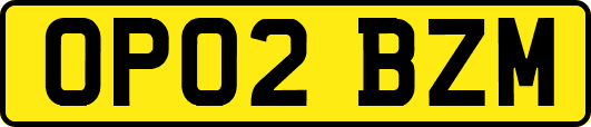 OP02BZM