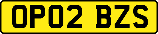 OP02BZS