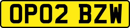 OP02BZW