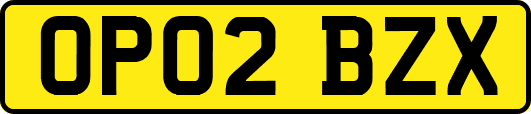 OP02BZX