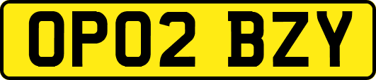 OP02BZY