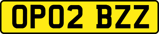 OP02BZZ