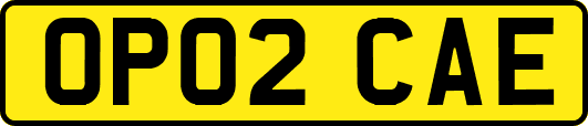 OP02CAE
