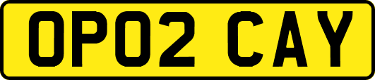 OP02CAY