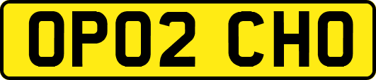 OP02CHO