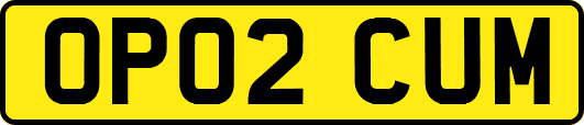 OP02CUM