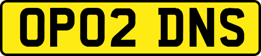 OP02DNS