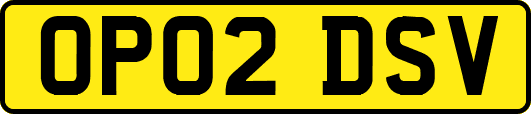 OP02DSV