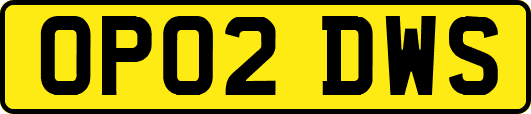 OP02DWS