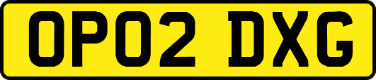 OP02DXG